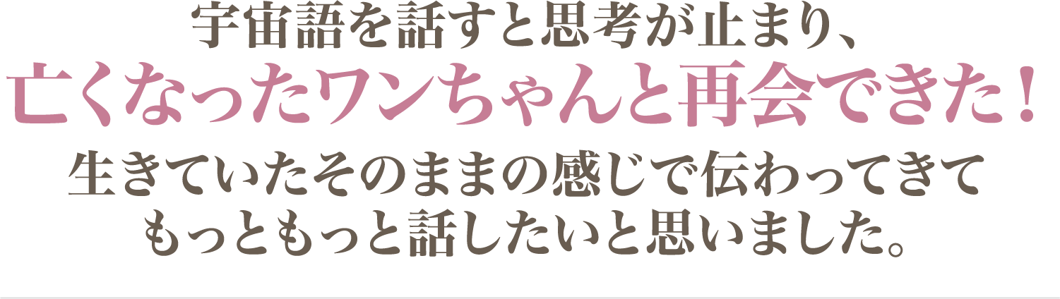 亡くなったワンちゃんと再会できた！